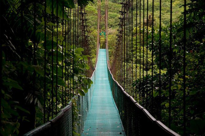 Hanging Bridges Daylight Walk