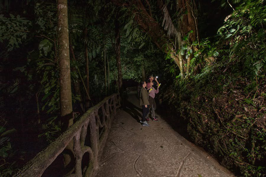Hanging Bridges Twilight Walk