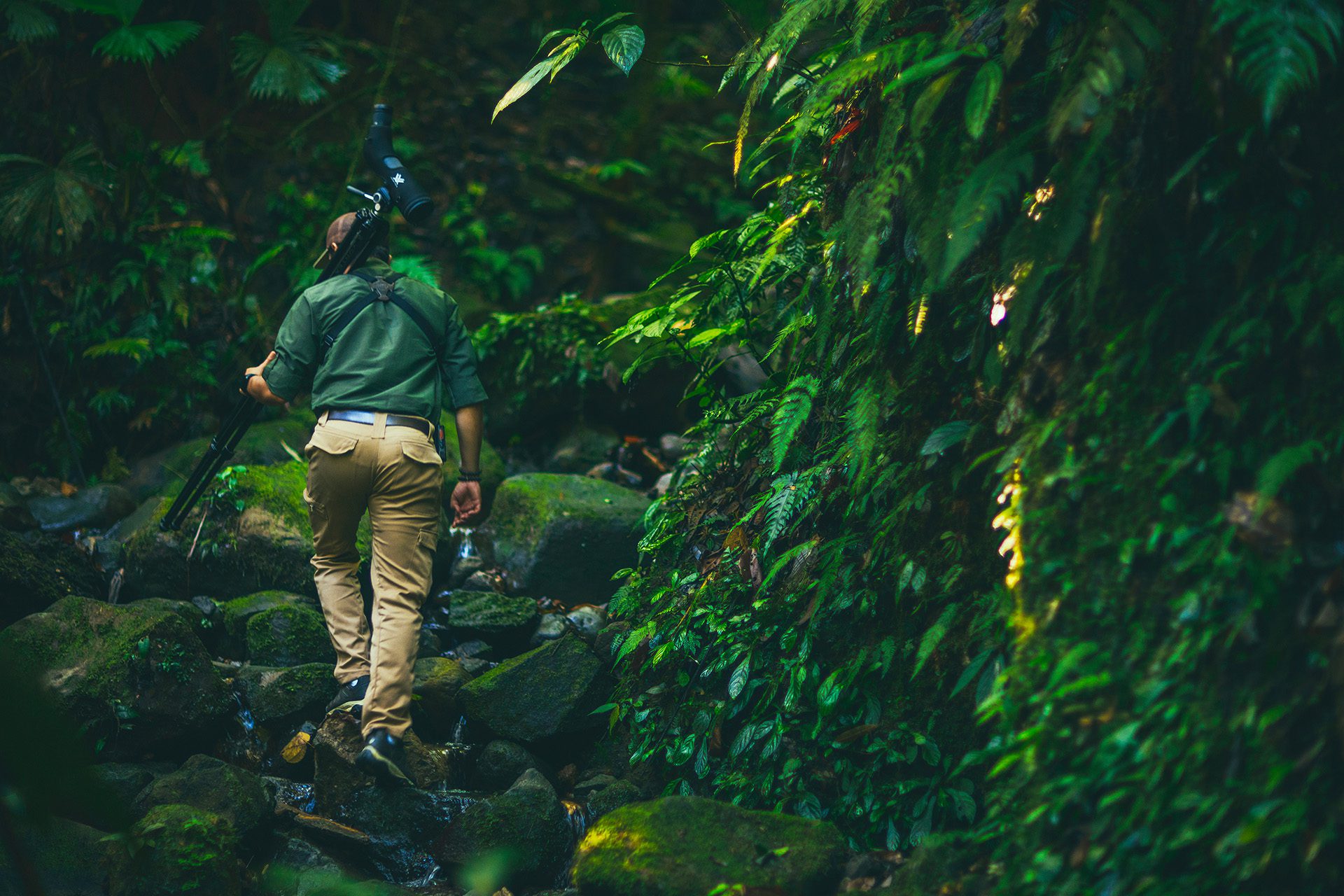 Amor Arenal onsite experience