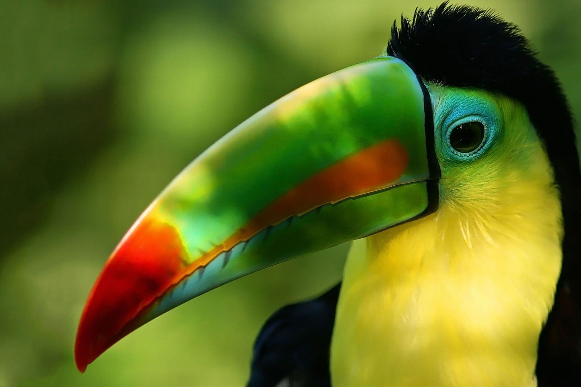 Amor Arenal offsite experiences in Costa Rica